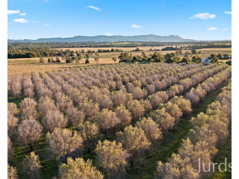 345 Talga Road, Lovedale NSW 2325