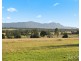 345 Talga Road, Lovedale NSW 2325