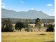 345 Talga Road, Lovedale NSW 2325