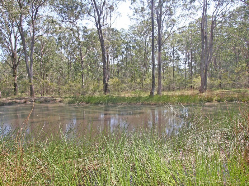 84 Millfield Road, Paxton NSW 2325