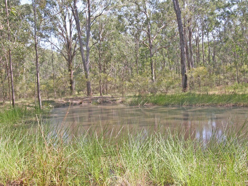 84 Millfield Road, Paxton NSW 2325