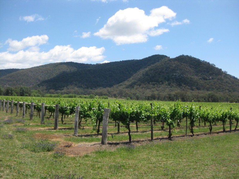 804 Milbrodale Road, Broke NSW 2330