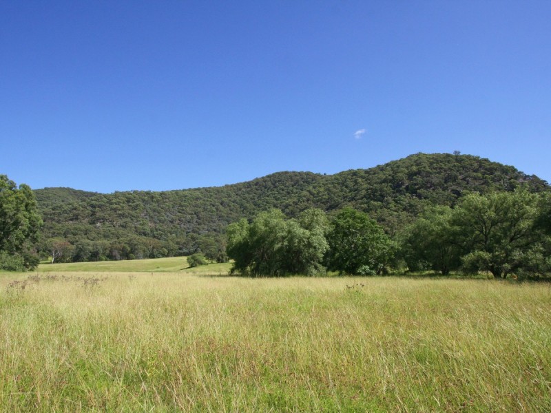 804 Milbrodale Road, Broke NSW 2330