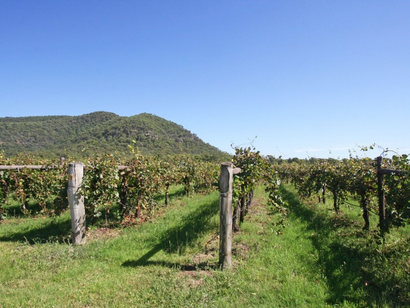 804 Milbrodale Road, Broke NSW 2330