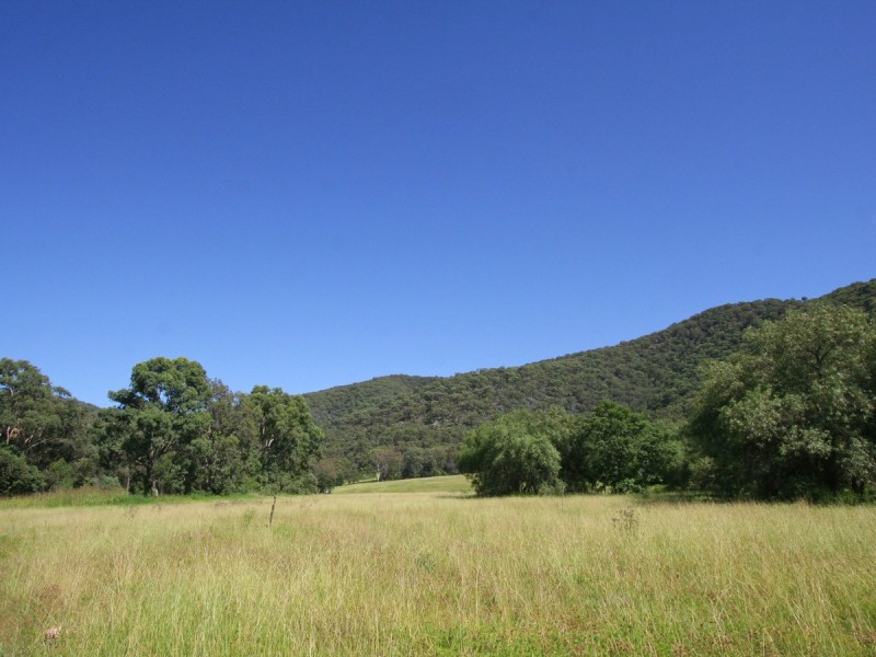 804 Milbrodale Road, Broke NSW 2330