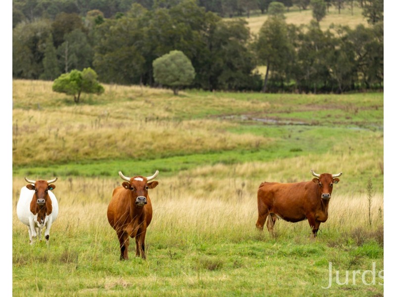 98 Kirkton Road, Lower Belford NSW 2335