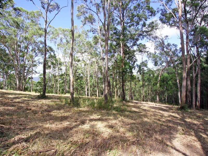 135 Mount Baker Road, Millfield NSW 2325