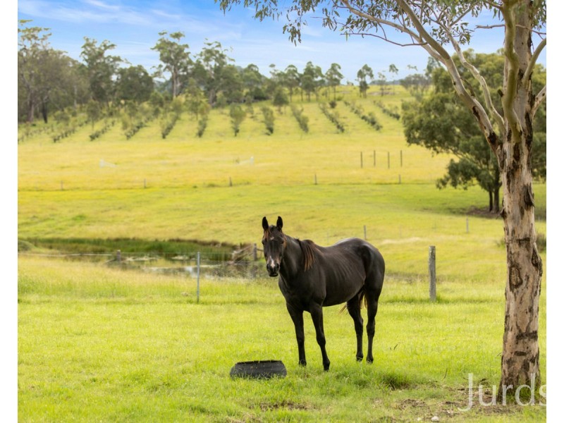 677 Anambah Road, Gosforth NSW 2320