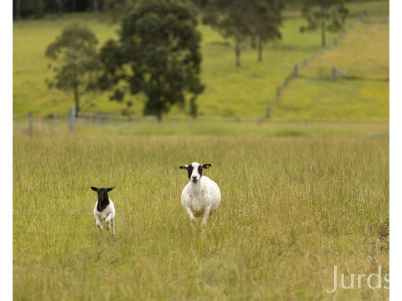 677 Anambah Road, Gosforth NSW 2320