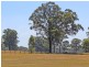 Tennant Street, Bellbird NSW 2325