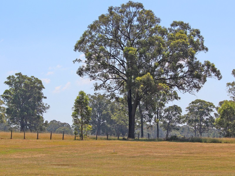 Tennant Street, Bellbird NSW 2325
