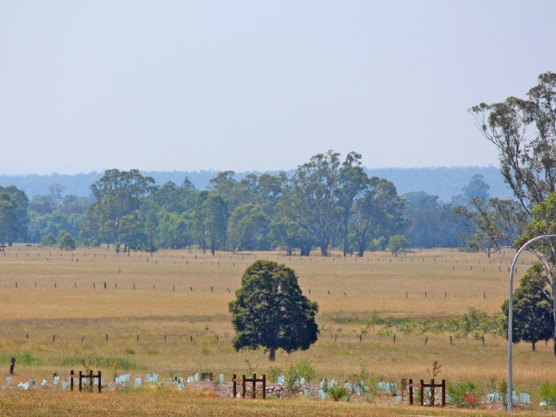 Tennant Street, Bellbird NSW 2325