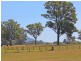 Tennant Street, Bellbird NSW 2325