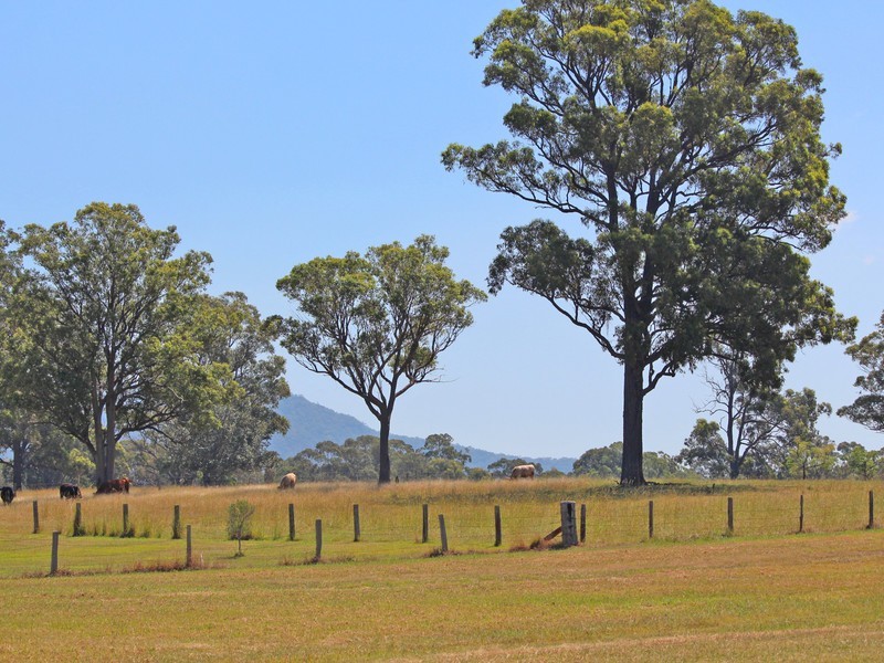 Tennant Street, Bellbird NSW 2325