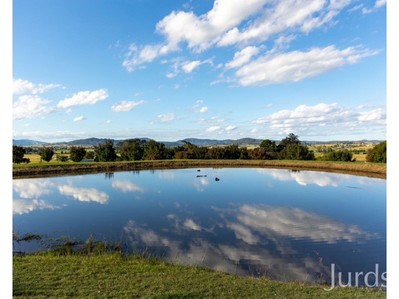 87 Oswald Road, Oswald NSW 2321