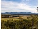 442 Talga Road, Lovedale NSW 2325