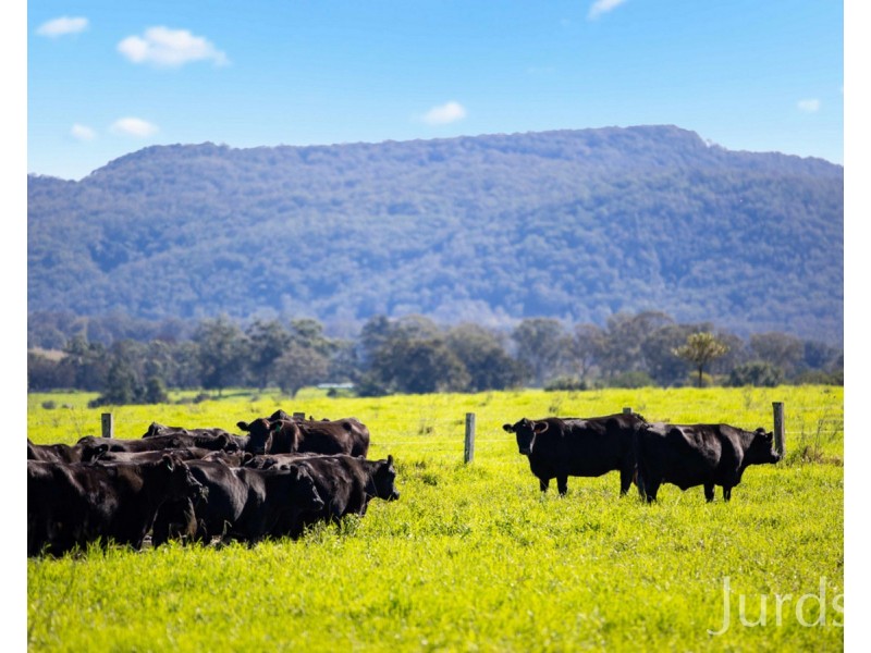 1245A Paterson Road, Paterson NSW 2421