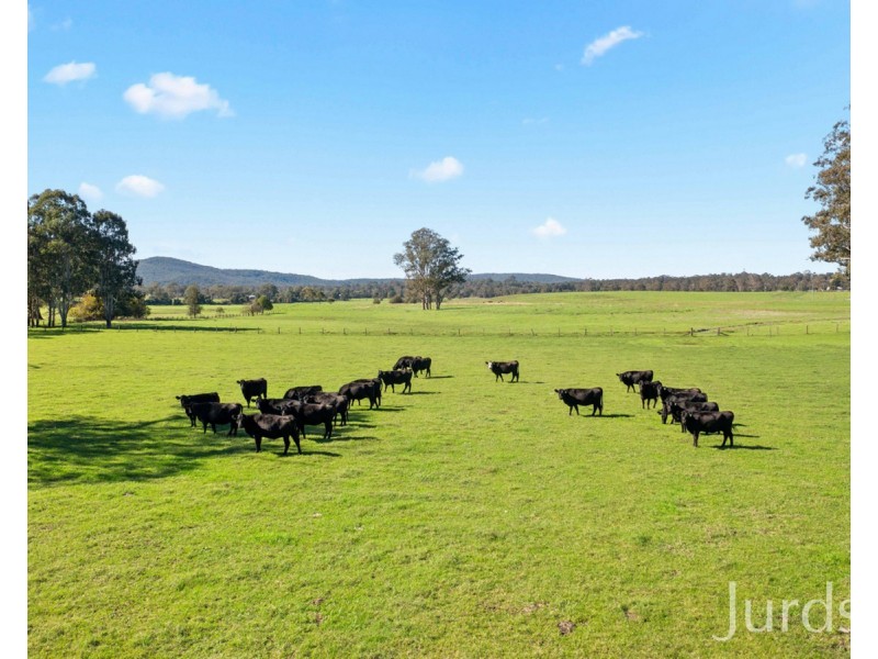 1245A Paterson Road, Paterson NSW 2421