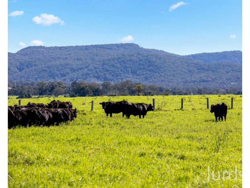 1245A Paterson Road, Paterson NSW 2421