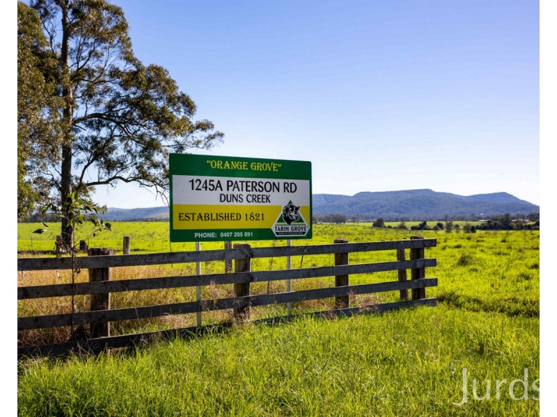 1245A Paterson Road, Paterson NSW 2421