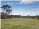 182 Becks Road, Freemans Waterhole NSW 2323