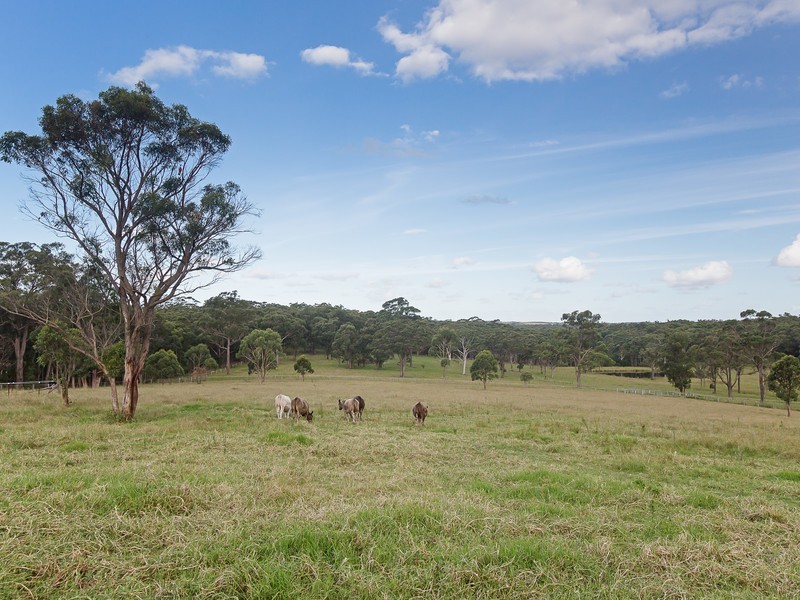 182 Becks Road, Freemans Waterhole NSW 2323