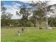 182 Becks Road, Freemans Waterhole NSW 2323