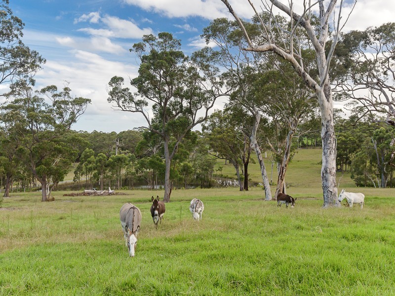 182 Becks Road, Freemans Waterhole NSW 2323