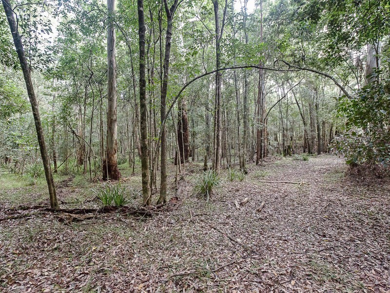 182 Becks Road, Freemans Waterhole NSW 2323