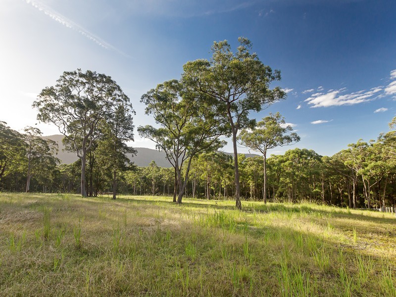 182 Becks Road, Freemans Waterhole NSW 2323