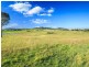 485 Luskintyre Road, Luskintyre NSW 2321