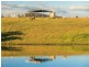 485 Luskintyre Road, Luskintyre NSW 2321