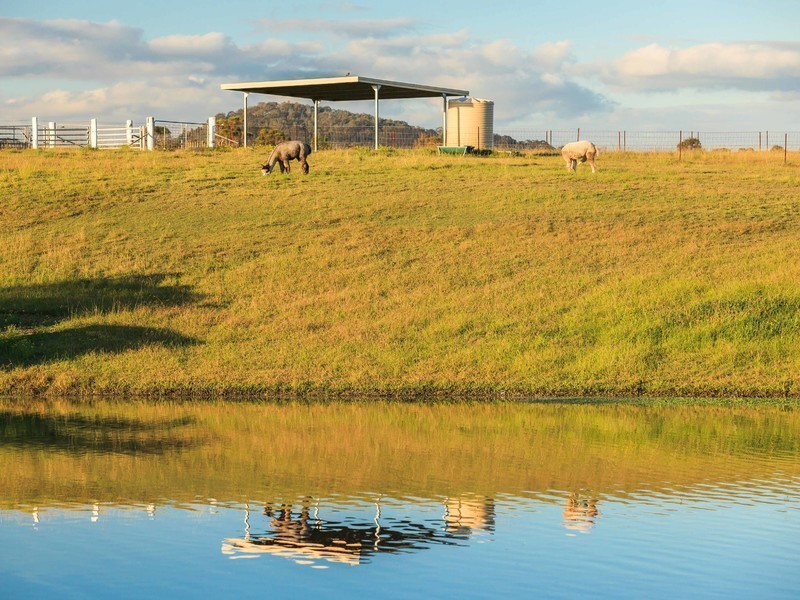 485 Luskintyre Road, Luskintyre NSW 2321