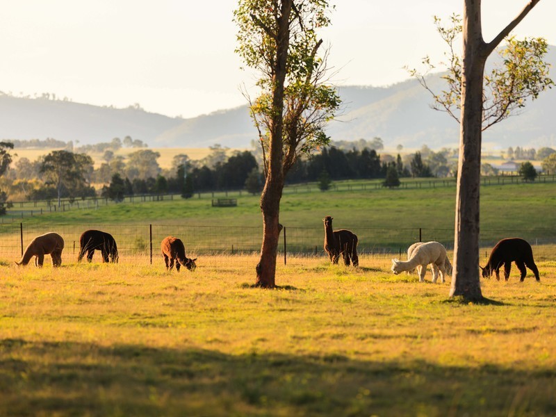 485 Luskintyre Road, Luskintyre NSW 2321