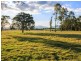 485 Luskintyre Road, Luskintyre NSW 2321