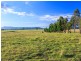 485 Luskintyre Road, Luskintyre NSW 2321