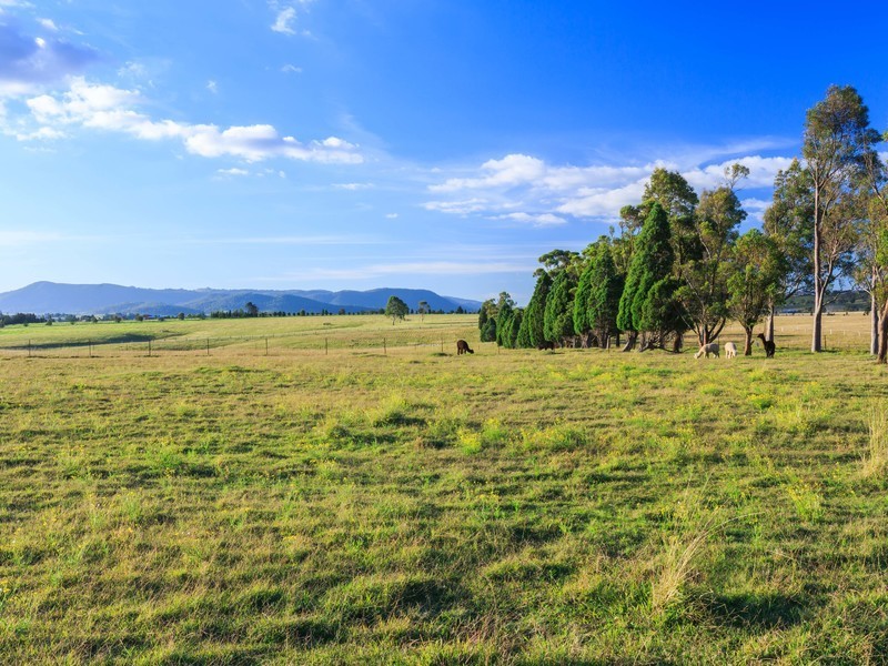 485 Luskintyre Road, Luskintyre NSW 2321