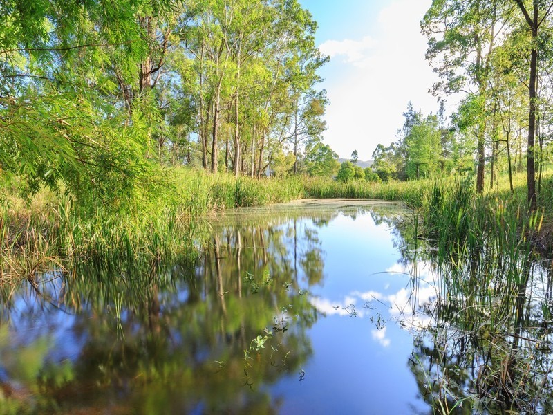 1516 Mount View Road, Millfield NSW 2325