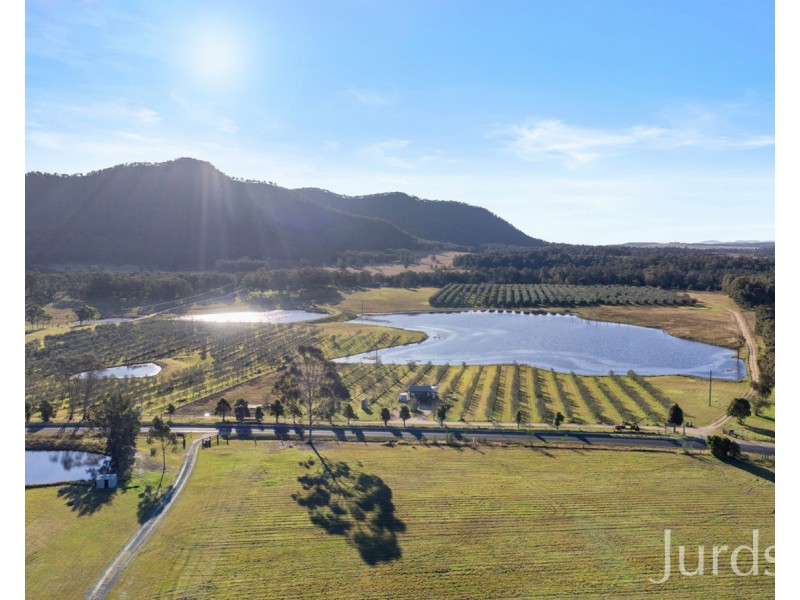 515 Wollombi Road, Broke NSW 2330