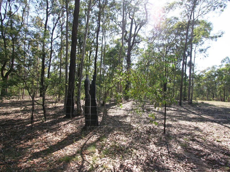 93 Abernethy Street, Kitchener NSW 2325