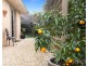 23 Peppertree Drive, Pokolbin NSW 2320