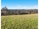 301 Ironbark Road, Mangrove Mountain NSW 2250