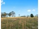 301 Ironbark Road, Mangrove Mountain NSW 2250