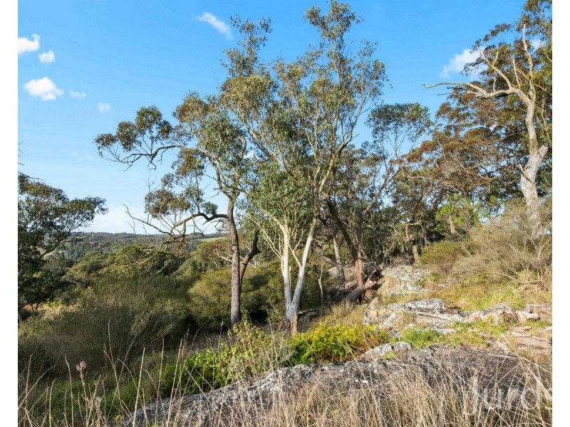 301 Ironbark Road, Mangrove Mountain NSW 2250