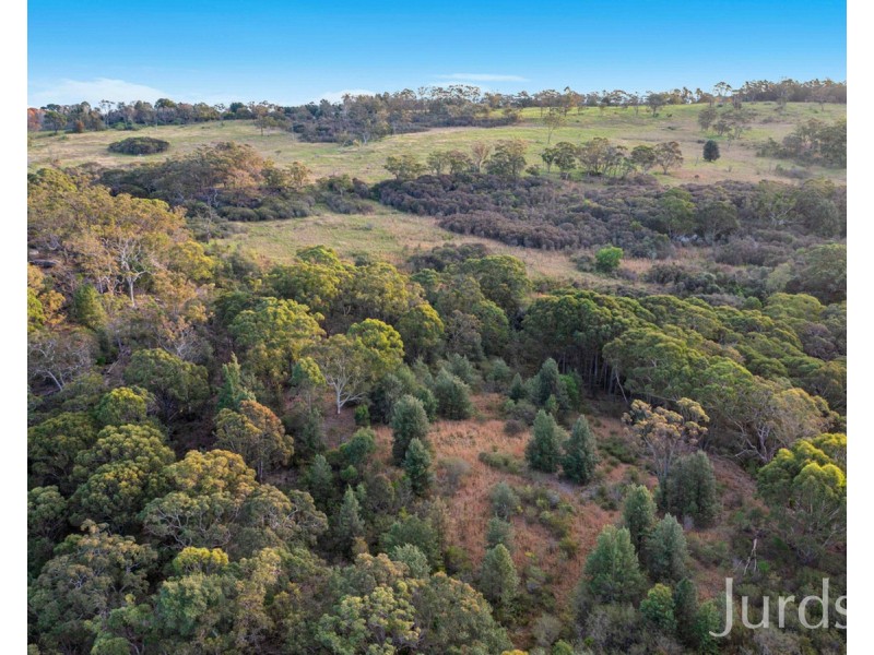 301 Ironbark Road, Mangrove Mountain NSW 2250
