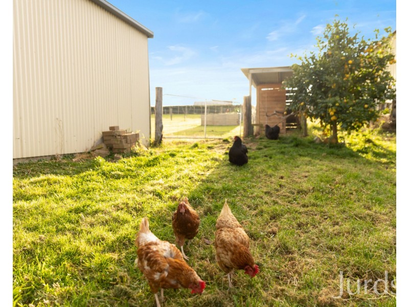 71 Davis Street, Millfield NSW 2325