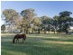Cessnock NSW 2325