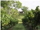 Lovedale NSW 2325