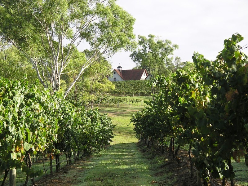 Lovedale NSW 2325
