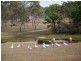 Lovedale NSW 2325